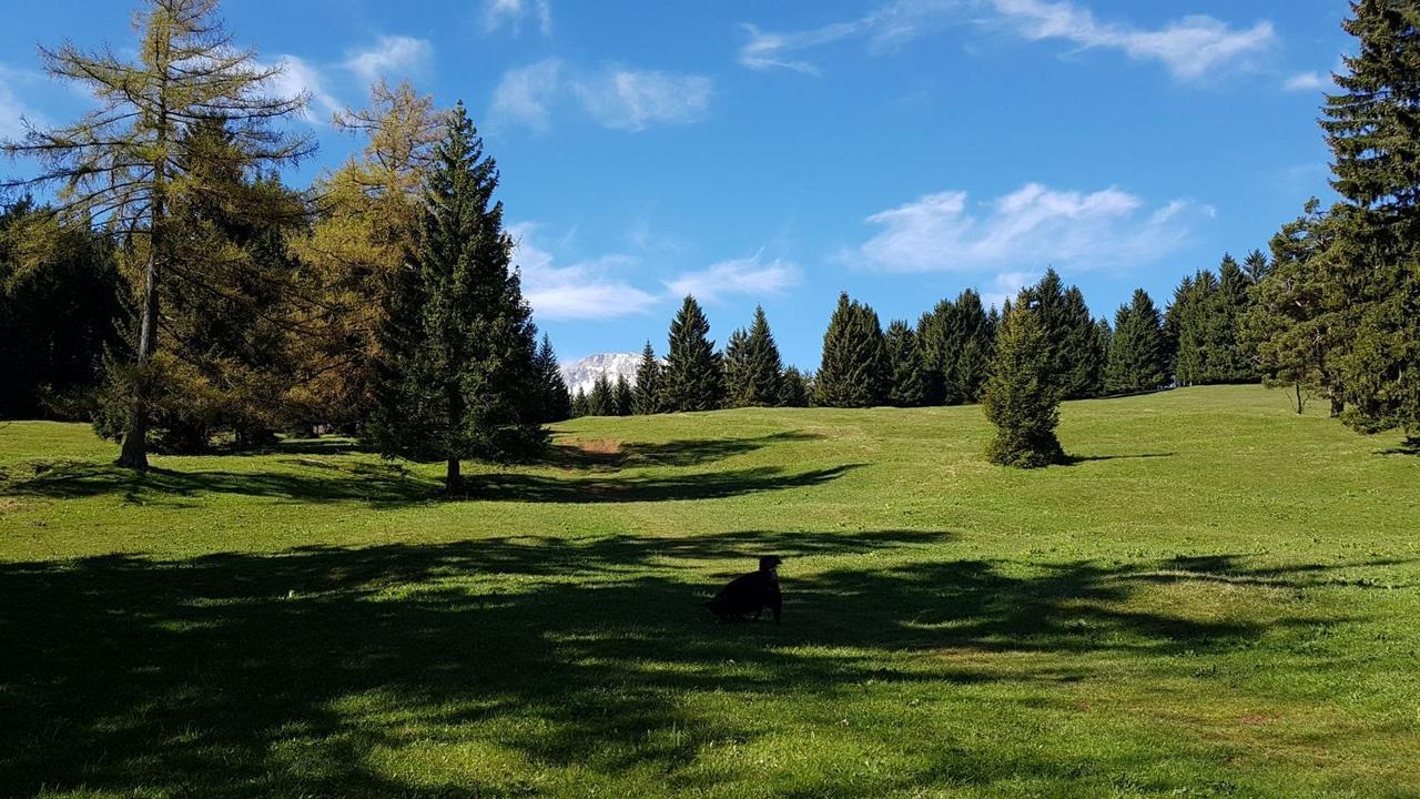 Ferienwohnungen Mamauwiese Gutenstein Extérieur photo