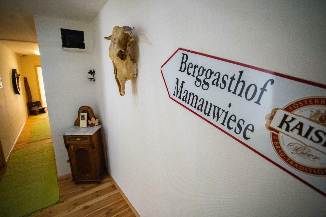 Ferienwohnungen Mamauwiese Gutenstein Extérieur photo